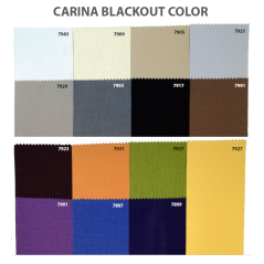 Vertical Carina Blackout Color
